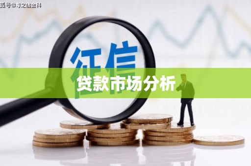 平远贷款市场分析