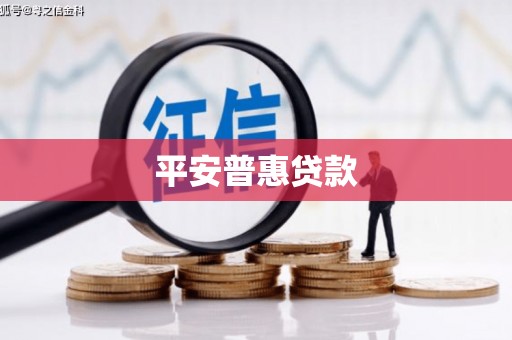 平远平安普惠贷款