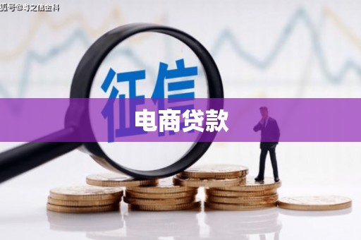 平远电商贷款