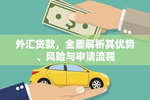 平远外汇贷款，全面解析其优势、风险与申请流程