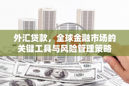 平远外汇贷款，全球金融市场的关键工具与风险管理策略