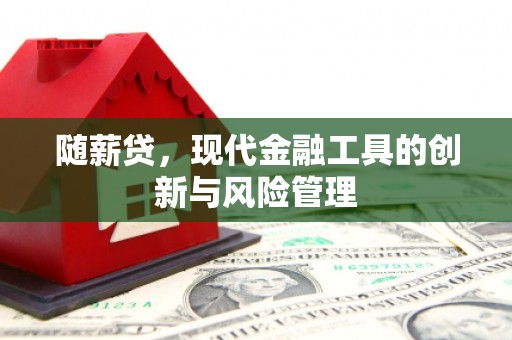 平远随薪贷，现代金融工具的创新与风险管理