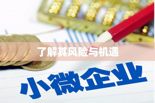 平远了解其风险与机遇