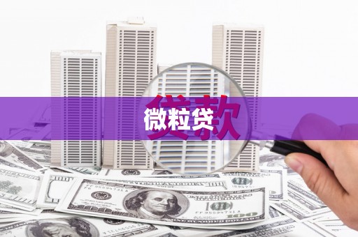 平远微粒贷