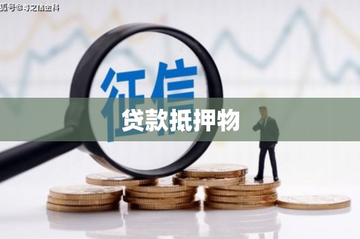 平远贷款抵押物