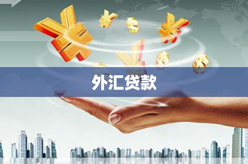 平远外汇贷款