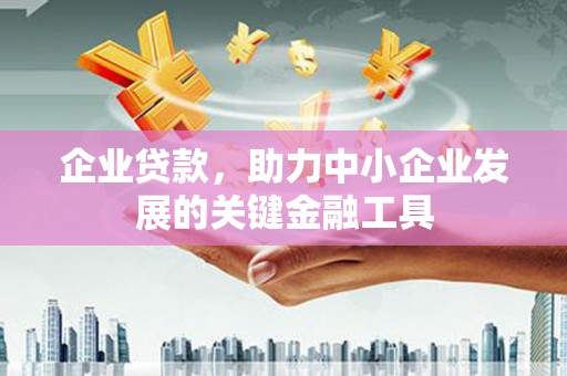 平远企业贷款，助力中小企业发展的关键金融工具