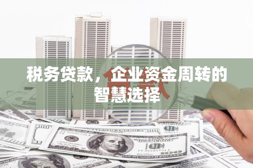 平远税务贷款，企业资金周转的智慧选择