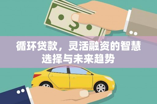 平远循环贷款，灵活融资的智慧选择与未来趋势