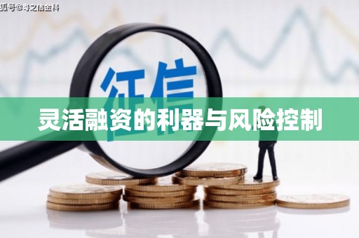 平远灵活融资的利器与风险控制