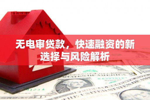 平远无电审贷款，快速融资的新选择与风险解析