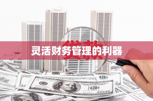 平远灵活财务管理的利器