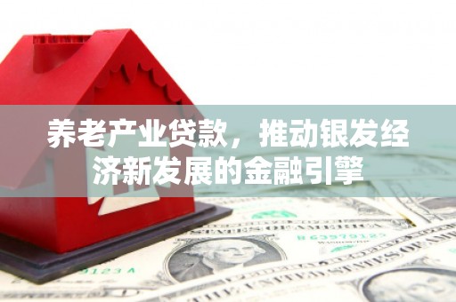 平远养老产业贷款，推动银发经济新发展的金融引擎