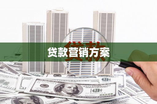 平远贷款营销方案