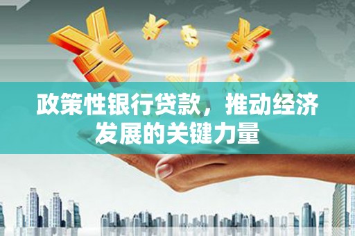 平远政策性银行贷款，推动经济发展的关键力量