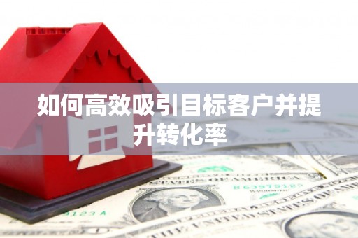 平远如何高效吸引目标客户并提升转化率