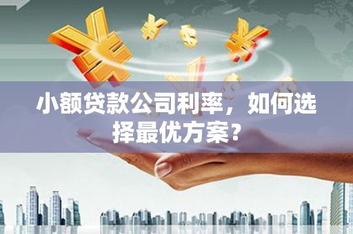 平远小额贷款公司利率，如何选择最优方案？