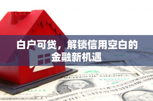 平远白户可贷，解锁信用空白的金融新机遇