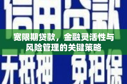 平远宽限期贷款，金融灵活性与风险管理的关键策略