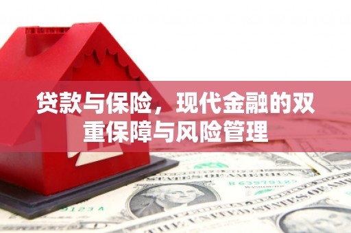平远贷款与保险，现代金融的双重保障与风险管理
