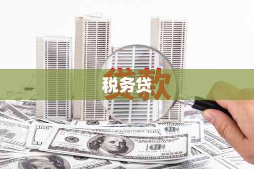 平远税务贷