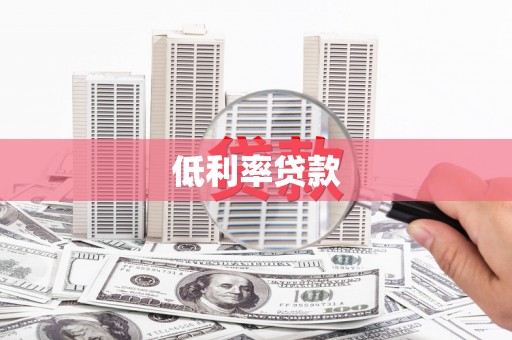 平远低利率贷款
