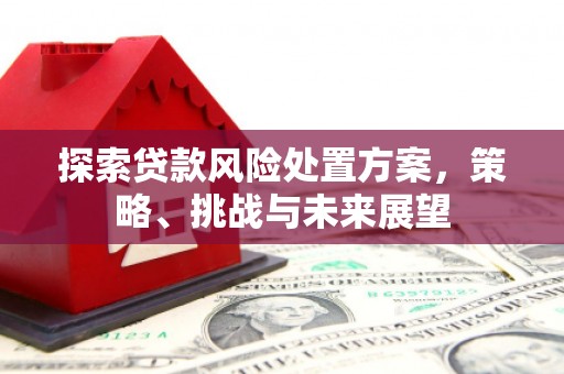 平远探索贷款风险处置方案，策略、挑战与未来展望