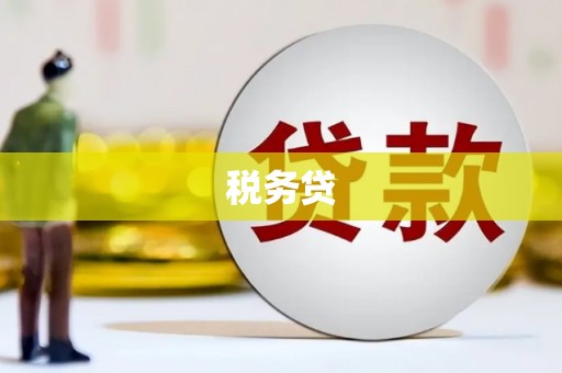 平远税务贷