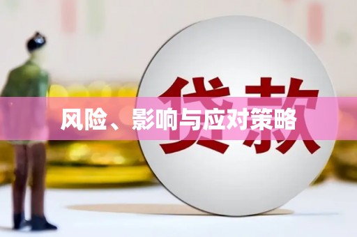 平远风险、影响与应对策略