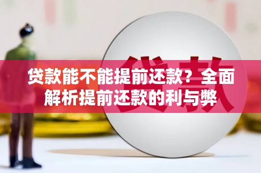 平远贷款能不能提前还款？全面解析提前还款的利与弊
