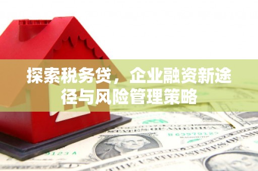 平远探索税务贷，企业融资新途径与风险管理策略