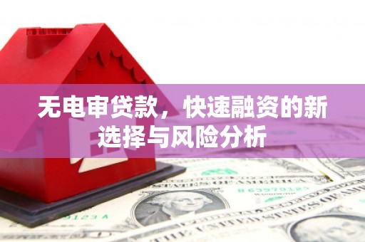平远无电审贷款，快速融资的新选择与风险分析