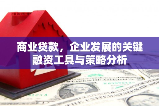 平远商业贷款，企业发展的关键融资工具与策略分析