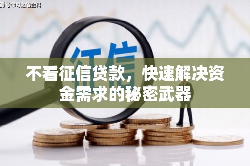 平远不看征信贷款，快速解决资金需求的秘密武器