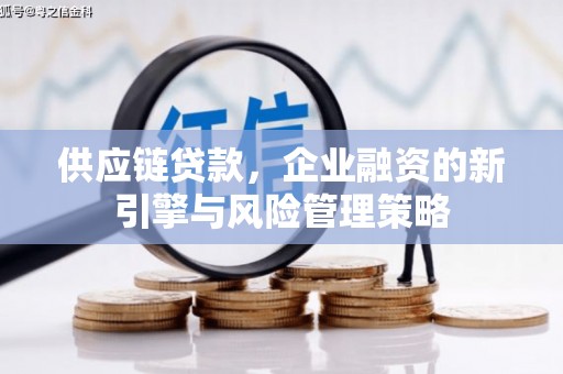 平远供应链贷款，企业融资的新引擎与风险管理策略