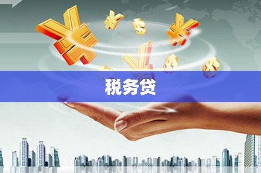 平远税务贷