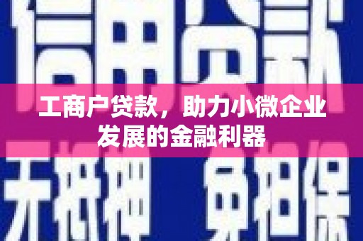 平远工商户贷款，助力小微企业发展的金融利器