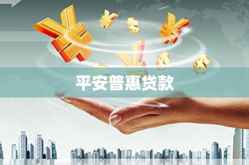 平远平安普惠贷款