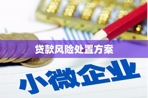 平远贷款风险处置方案