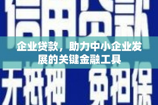 平远企业贷款，助力中小企业发展的关键金融工具