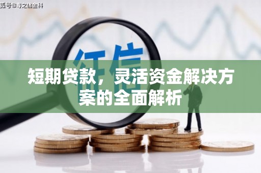平远短期贷款，灵活资金解决方案的全面解析
