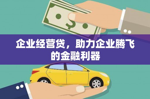 平远企业经营贷，助力企业腾飞的金融利器