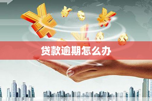 平远贷款逾期怎么办