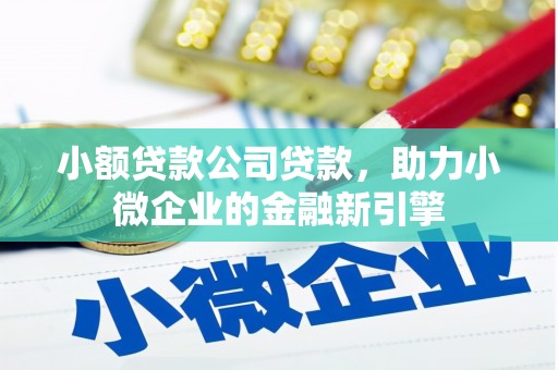 平远小额贷款公司贷款，助力小微企业的金融新引擎