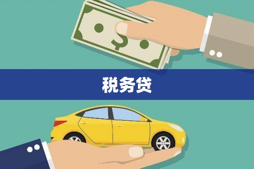 平远税务贷