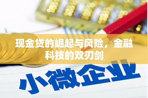 平远现金贷的崛起与风险，金融科技的双刃剑
