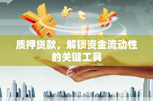 平远质押贷款，解锁资金流动性的关键工具