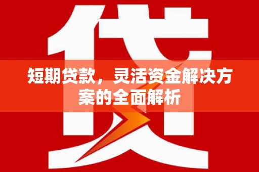 平远短期贷款，灵活资金解决方案的全面解析