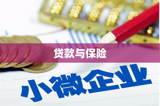 平远贷款与保险