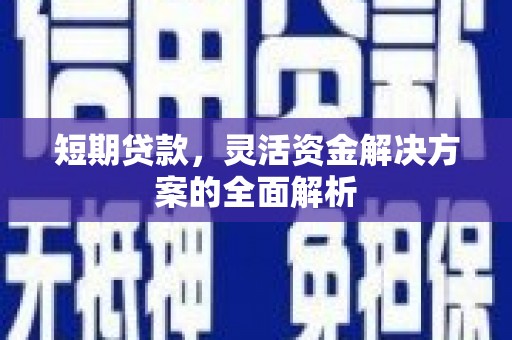 平远短期贷款，灵活资金解决方案的全面解析